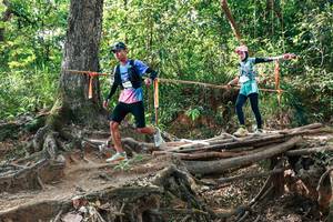 BIB: 
                            <button type="button" onclick="openModal(27558491)" class="btn btn-primary btn-sm float-right btn-popup" data-toggle="modal" data-target=".modal-high-quality">
                        <i class="fas fa-shopping-cart"></i> Add to Cart
                    </button>
                                            <button type="button" onclick="isThisMe(27558491, true)" class="btn btn-success btn-sm float-right btn-popup btn-isme hidden" data-toggle="tooltip" data-placement="bottom" title="นี่คือรูปของคุณใช่ไหม คลิกที่นี่เพื่อเอาเข้าอัลบั้ม">
                        <i class="fas fa-plus"></i> Add to album
                    </button>
                    <button type="button" onclick="isThisMe(27558491, false)" class="btn btn-warning btn-sm float-right btn-popup btn-isnotme hidden">
                        <i class="fas fa-ban"></i> Remove from album
                    </button>